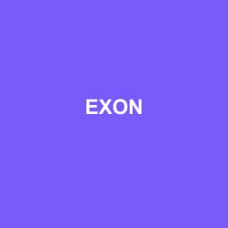Logo de EXON