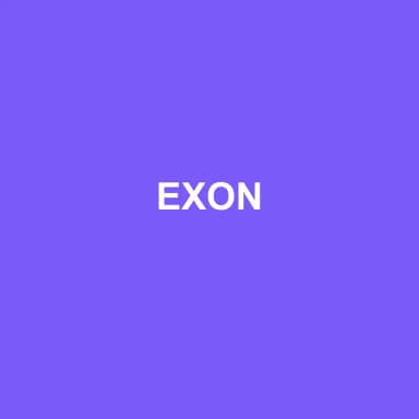 Logo de EXON