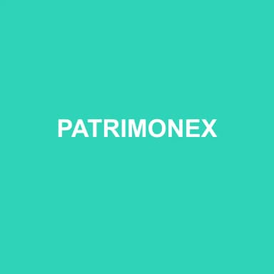 Logo de PATRIMONEX