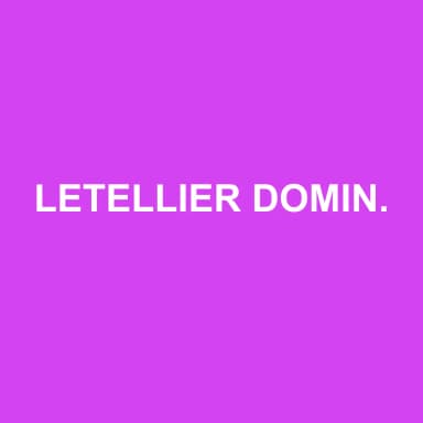 Logo de LETELLIER DOMINIQUE