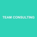 Logo TEAM CONSULTING
