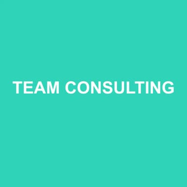 Logo de TEAM CONSULTING