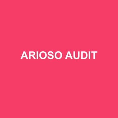 Logo de ARIOSO AUDIT