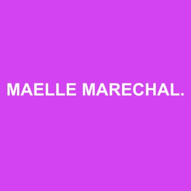 Logo de MAELLE MARECHAL LAANIGRI CONSEIL