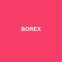 Logo BOREX