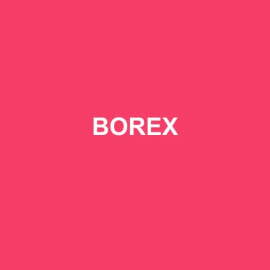 Logo de BOREX