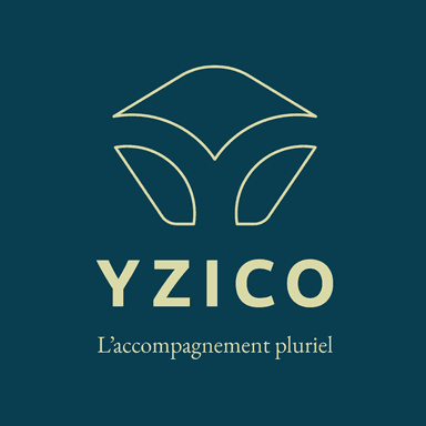 Logo de YZICO