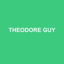 Logo Theodore Guy - Expert-comptable à Case-Pilote