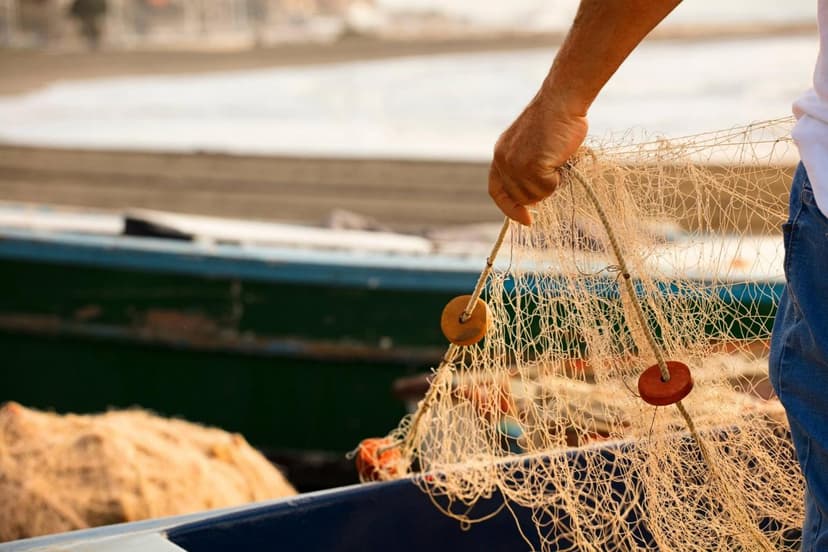 Comptabilite Gestion Ocean - photo 4