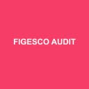 Logo de Figesco Audit