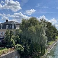 Haegy Guillaume - photo 2