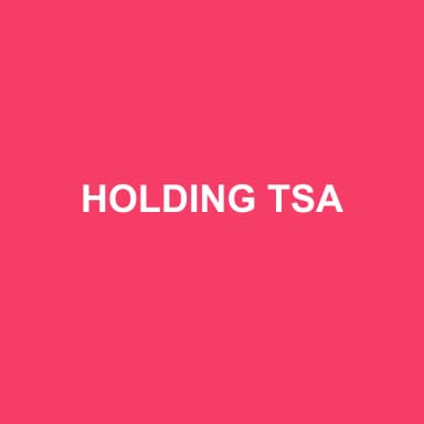 Logo de HOLDING TSA