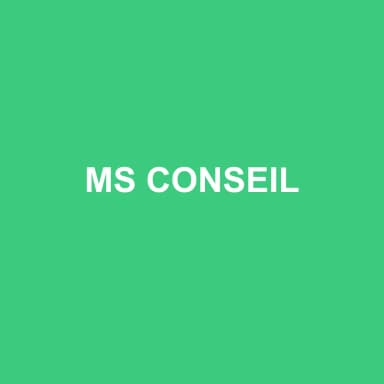 Logo de MS CONSEIL