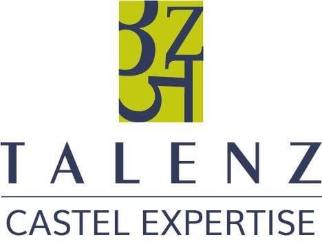 Photo #3 de TALENZ CASTEL EXPERTISE