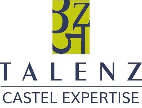 Talenz Castel Expertise - photo 3