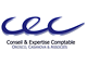 Logo Conseil et Expertise Comptable - Expert-comptable à Biguglia