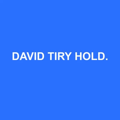 Logo de DAVID TIRY HOLDING