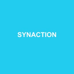 Logo Synaction - Expert-comptable à Thônes