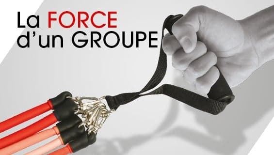 Conseils et Applications Comptables Sud Alsace - photo 1