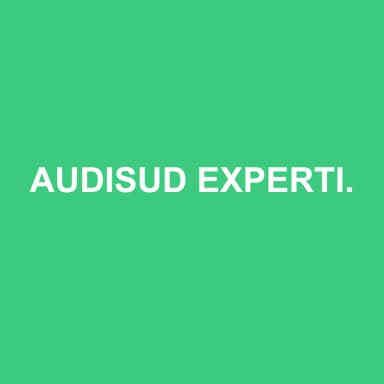 Logo de AUDISUD EXPERTISE