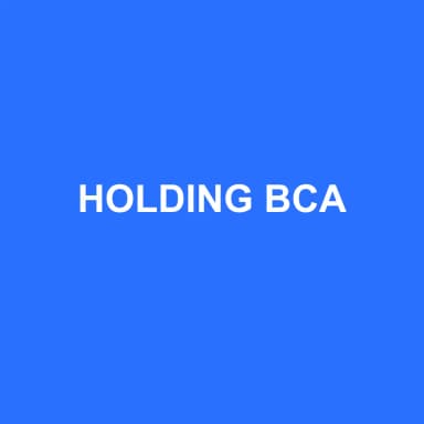 Logo de HOLDING BCA