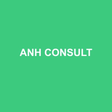 Logo de ANH CONSULT