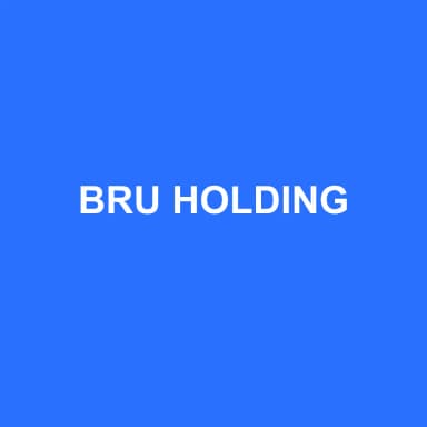 Logo de BRU HOLDING