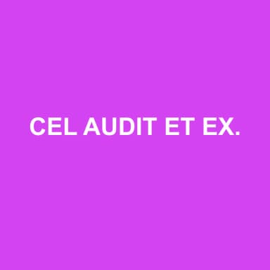 Logo de CEL AUDIT ET EXPERTISE