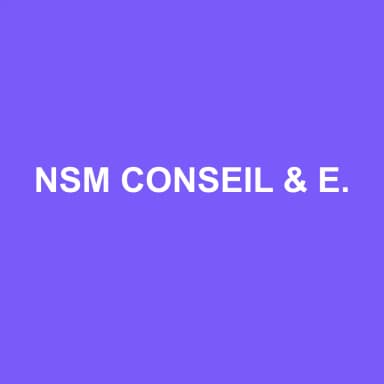 Logo de NSM CONSEIL & EXPERTISE