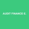 AUDIT FINANCE EXPERT