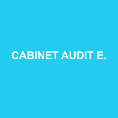 Logo de CABINET AUDIT EXPERTISE CONSEIL RENEUVE