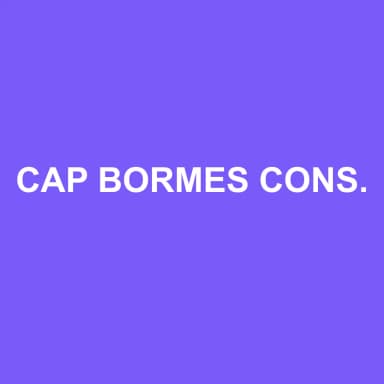 Logo de CAP BORMES CONSEIL