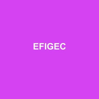 Logo de EFIGEC