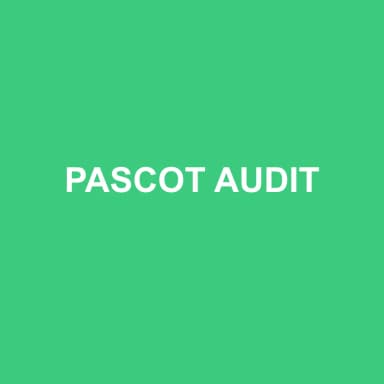 Logo de PASCOT AUDIT