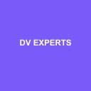 Logo de dv Experts