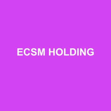 Logo de ECSM HOLDING