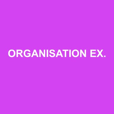 Logo de ORGANISATION EXPERTISE COMPTABLE AUDIT