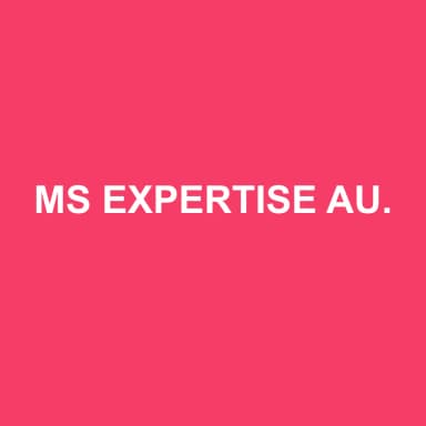 Logo de MS EXPERTISE AUDIT CONSULTING