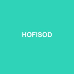 Logo Hofisod - Expert-comptable à Romilly-sur-Seine