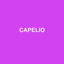 Logo Capelio - Expert-comptable à Thorigné-Fouillard