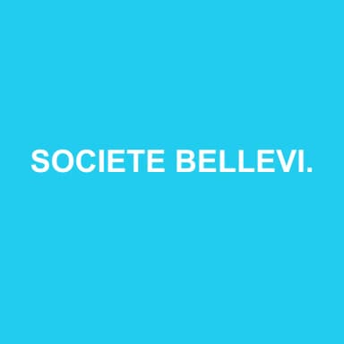 Logo de SOCIETE BELLEVILLOISE D'EXPERTISE COMPTABLE