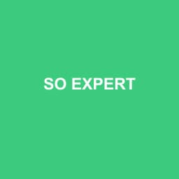 Logo so Expert - Expert-comptable à L'Isle-Jourdain
