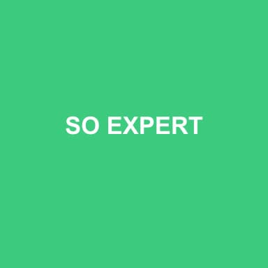 Logo de SO EXPERT