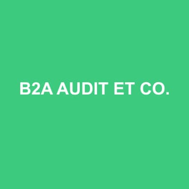 Logo de B2A AUDIT ET CONSEIL