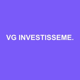 Logo vg Investissement - Expert-comptable à Roanne