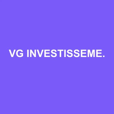 Logo de VG INVESTISSEMENT