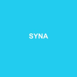 Logo Syna - Expert-comptable à Trélazé