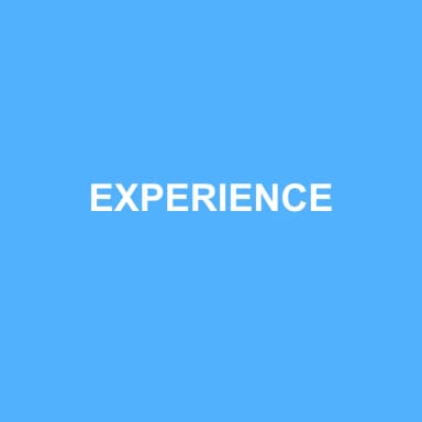 Logo de EXPERIENCE