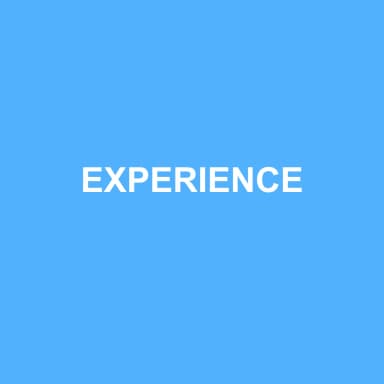 Logo de EXPERIENCE