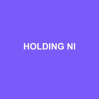 Logo de HOLDING NI